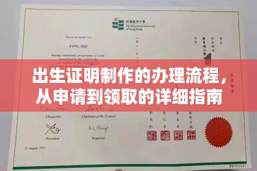 南部出生证明制作的办理流程，从申请到领取的详细指南