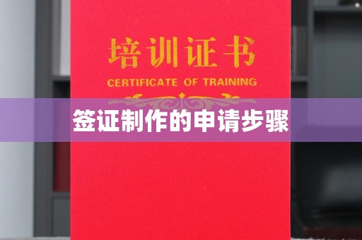 南部签证制作的申请步骤