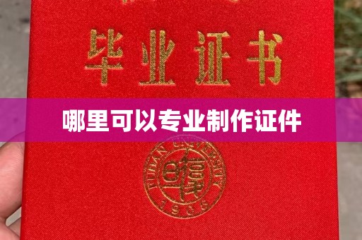 南部哪里可以专业制作证件
