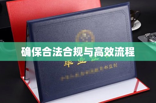 南部确保合法合规与高效流程
