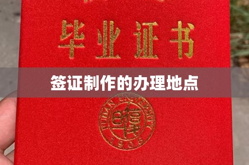 南部签证制作的办理地点