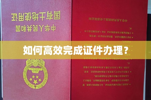 南部如何高效完成证件办理？