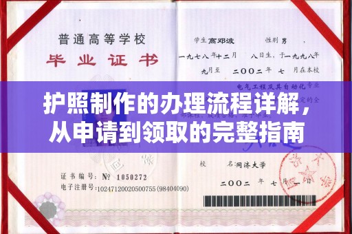 南部护照制作的办理流程详解，从申请到领取的完整指南