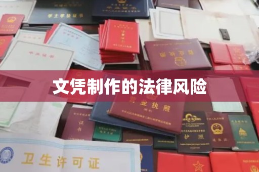 南部文凭制作的法律风险