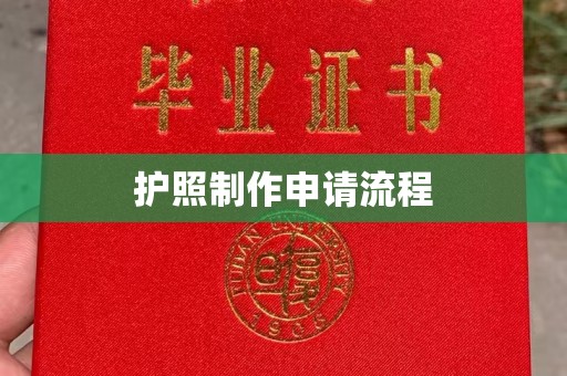 南部护照制作申请流程