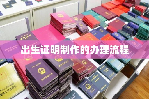 南部出生证明制作的办理流程