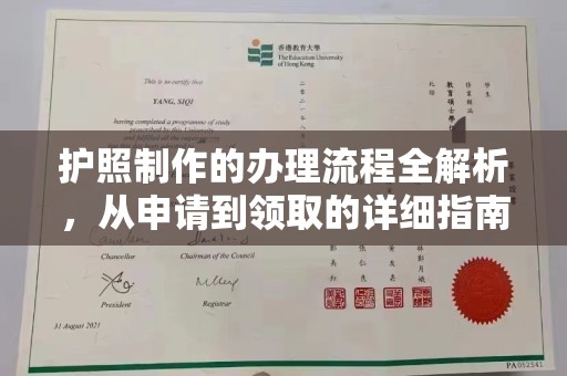 南部护照制作的办理流程全解析，从申请到领取的详细指南