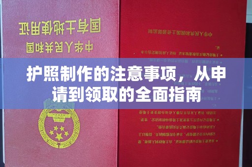 南部护照制作的注意事项，从申请到领取的全面指南