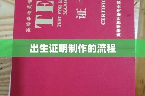 南部出生证明制作的流程